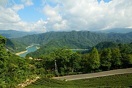 要前往石碇千島湖，由石碇進入反而不是這麼方便，而是要由新店區走北宜公路前往。不過裡面的道路十分狹窄而且會車不易，建議搭乘當地接駁車共乘前往。