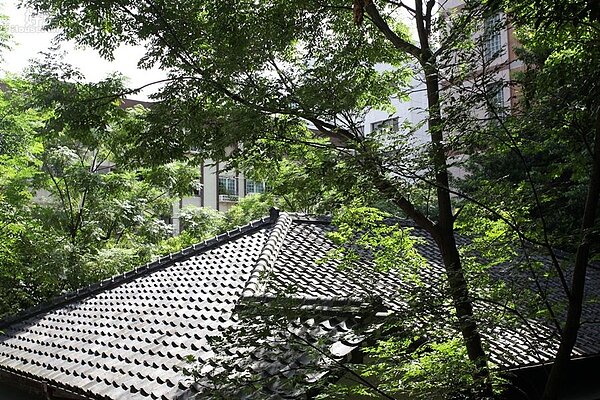 3.齊東詩舍的屋頂形式屬「寄棟造」,均覆蓋黑色日本瓦,並在屋脊末端使用鬼瓦收邊。