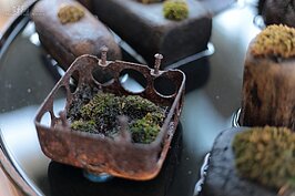 設計的壓力無所不在，為了紓壓，鄭遠揚利用舊電機容器以及石頭栽種苔蘚植物。