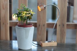 一盞檯燈、一盆迷你植物，兩者加起來就是一個景，也是可以讓人釋放壓力的紓壓搭配。Whims是這盞床頭燈的名字。