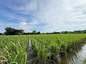 農地自益信託　要課遺產稅