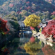 日本緯度高，天冷的快，紅葉由北海道開始一路往南開始變化。關西嵐山的紅葉是前往日本賞楓必定指名要去的地方。