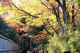 天龍寺外的步道遊客絡繹不絕。