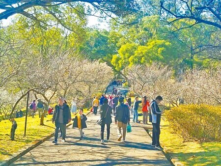 交通部長陳世凱13日透露,2026年國旅促進優惠五大方案的內容。圖∕本報資料照片