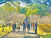 衝刺國旅　交部2026年推五大優惠