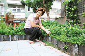 舊瓦做圍籬　空地變公園…這「里」變美