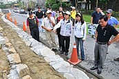 柴頭港溪沿岸綠地　成白鷺鷥棲息地