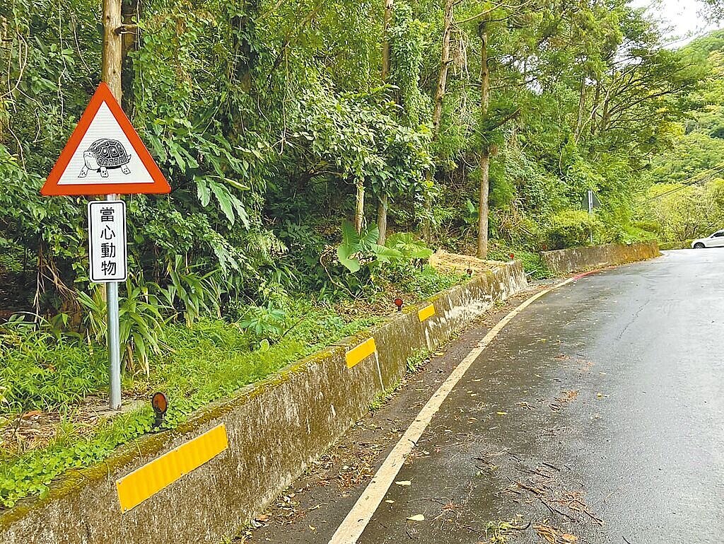 新北市農業局與政治大學社會責任辦公室合作，在周邊道路設置「食蛇龜」警示標誌，提醒用路人減速慢行。圖／新北市農業局提供