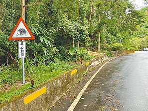 路殺防治　新北生態廊道共10處