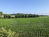 大哥抽中父親房地遺產　弟蓋鐵皮屋住27年須拆屋還地