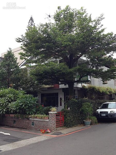 一定要重建,城市才美嗎?(圖/林奇芬)