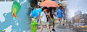 鳳凰風雨強　今縱走北上