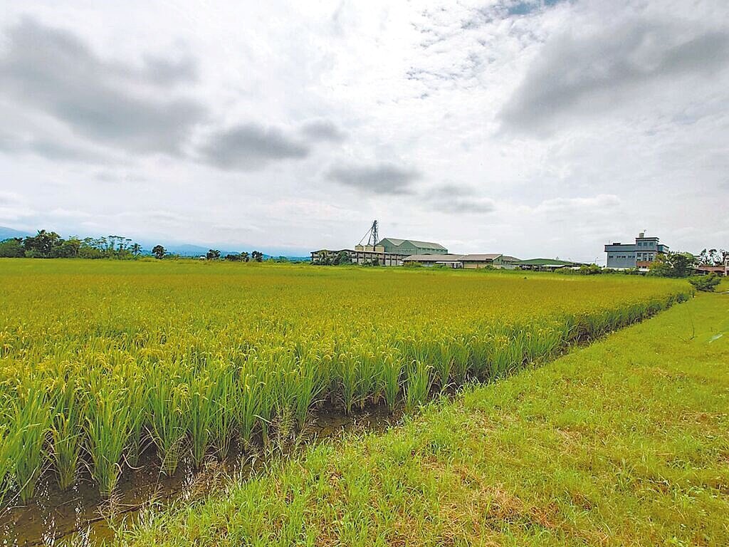 地方盛傳自耕農一旦取得公有地,轉手承租給光電業者,立刻成為合法光電場。 圖/讀者提供