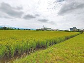 公地放領　恐轉租設置光電場