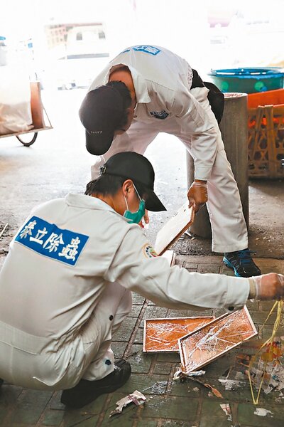 自22日起，環南市場持續徹底滅鼠，除蟲人員清理黏鼠板。 記者林伯東／攝影