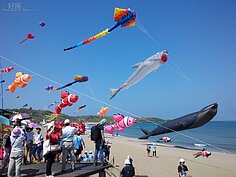 在海岸與天空連線處，可看到許多海中生物翱翔在天空，許多到此一遊的小孩都驚呼，挖~尼莫在天上飛耶！