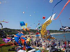 現在的風箏十分的有趣，右手邊的老虎風箏會隨著風勢與風向飄動，讓人有真的老虎在更換體態的感覺，其他也有現在卡通的造型，讓小孩子逛得很開心。