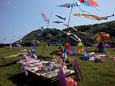 連日本的鯉魚旗都出來湊熱鬧。