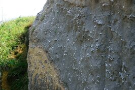 好望角附近有許多景點可以參觀，例如過港貝化石層。它的發現可證明台灣早期低於海平面，經歷千萬年的地殼變動後突出海面，成為現在的台灣。
