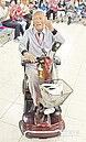 101歲活龍　電動車秀S型