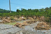 果園遭沖毀　果農控縣府施工惹禍