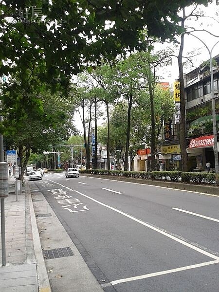 6民生東路五段綠樹林蔭,道路整齊清潔。