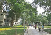 三重荒地變公園　仍然易積水