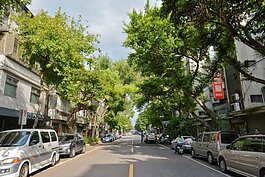 漫步在街與巷勾織的富錦街，幽靜怡然、樹蔭濃密，可欣賞到各式特色店家林立。