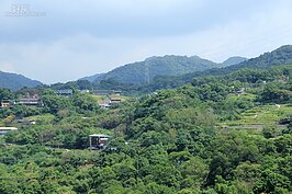 樟湖與樟樹步道是貓空步道中最為平易近人的步道。據當地耆老說，貓空早年盛產樟樹，因此才有樟樹與樟湖的地名。