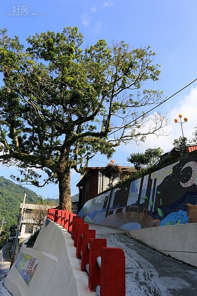 坡道上有一株百年老樹，名為「月老樹」。相傳是一對家世背景懸殊的戀人相約在此準備為愛情私奔，男方家人卻緊追在後，此時山中的樹靈呼喚滿天濃霧，協助這對有情人逃脫。樹靈最後變成老樹，當地人就這棵樹為月老樹。