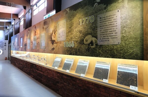 貓空的茶可追溯到1770年。福建安溪移民到貓空後，先伐木維生，後則引入茶種開始種植，經過多年的研究與改良，終於成為台灣茶葉知名代表。