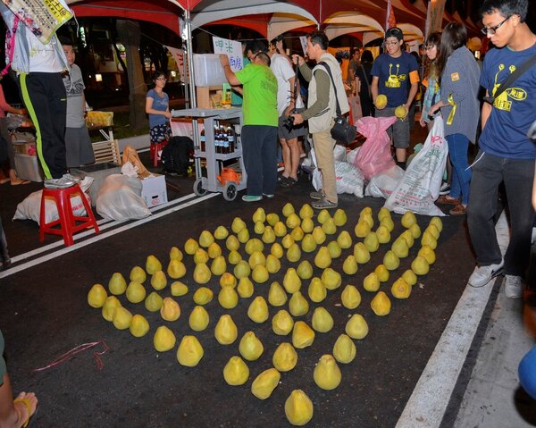 農民在此反應風災所受害的柚子，在路上陳列開來引起路人注意。（好房網News記者 陳韋帆／攝影）