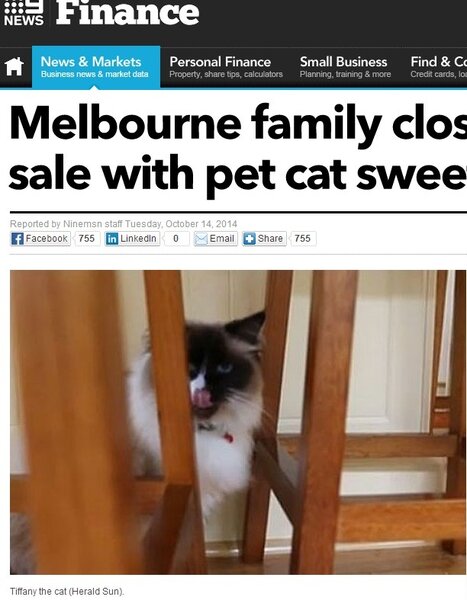 澳洲屋主賣房連同寵物Tiffany一起賣了，多賺374萬台幣。(擷取自Ninemsn網站)