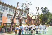 竹中校樹遭砍　護樹聯盟求援