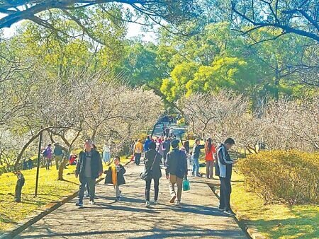 生日住宿補助明年1月優先上路,每月抽1千人補助1,200元。圖∕本報資料照片