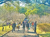 國旅生日補助　明年1月上路