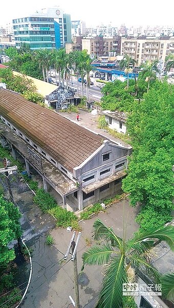 
珍貴綠資源←↑台北市樹保大會昨審議南港瓶蓋工廠廠區264棵樹木，共有7棵榕樹及1棵苦楝樹列入受保樹木。（江慧珺攝）
 