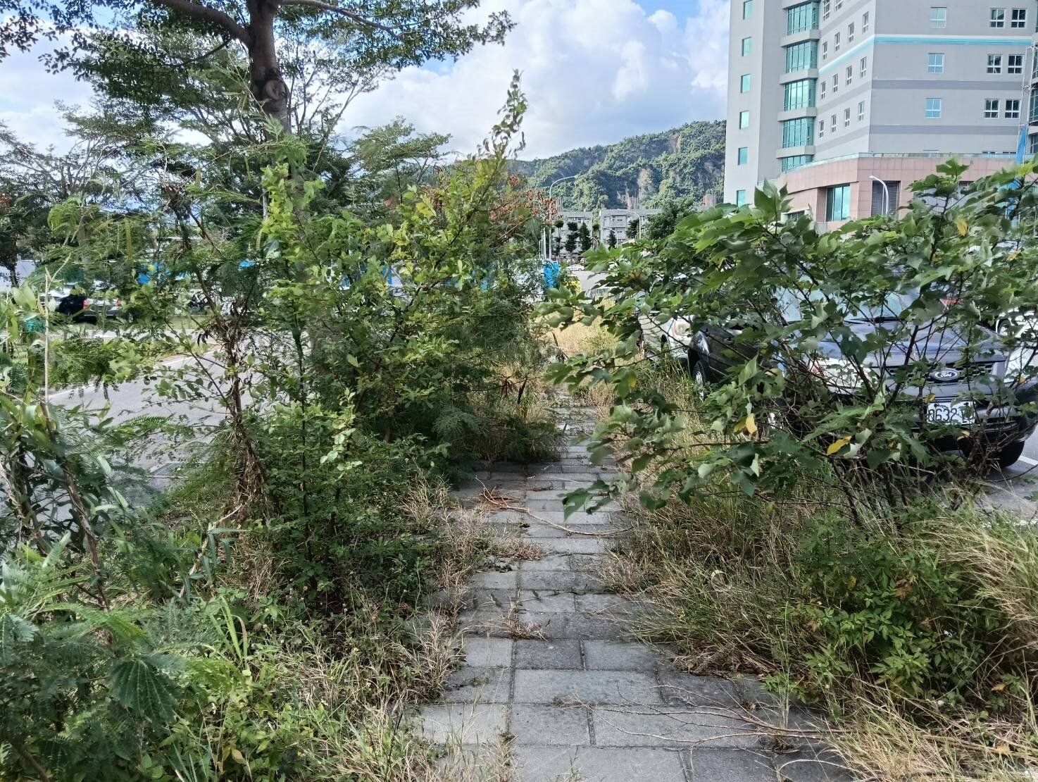 車站周圍景觀步道早已成荒煙漫草景象，完全看不出是步道。記者尤聰光／攝影 