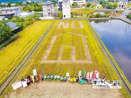 　守護宜蘭心價值　　守護宜蘭工作坊發起「守護宜蘭心價值」活動，各團體在休耕的農地上踩踏出「NO」農舍圖樣，表達搶救農田地景的訴求。（李忠一攝） 