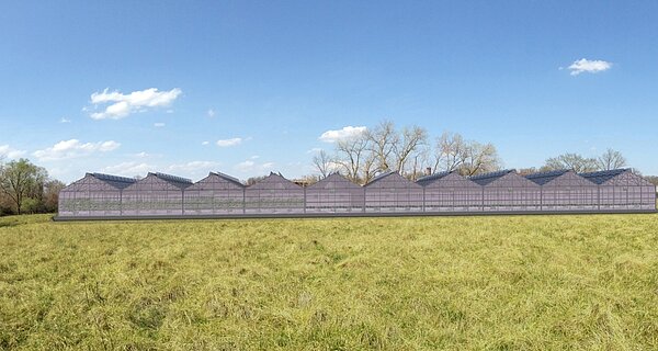 全世界最大的都市在菜園在美國華盛頓。(翻攝自BrightFarms)