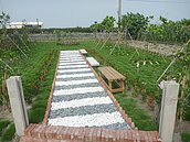 林務局南投林管處社區植樹綠美化活動　提昇居住品質