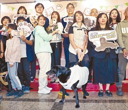 
農業部長陳駿季表示，只要查獲違反廚餘養豬禁令，一律重罰外，場內豬隻也會管制15天。圖為農業部12日舉行「國家汪汪隊，幸福新啟程」退役犬表揚活動，陳駿季（後右三）籲民間共同推動退役犬隻的照護。（范揚光攝）

