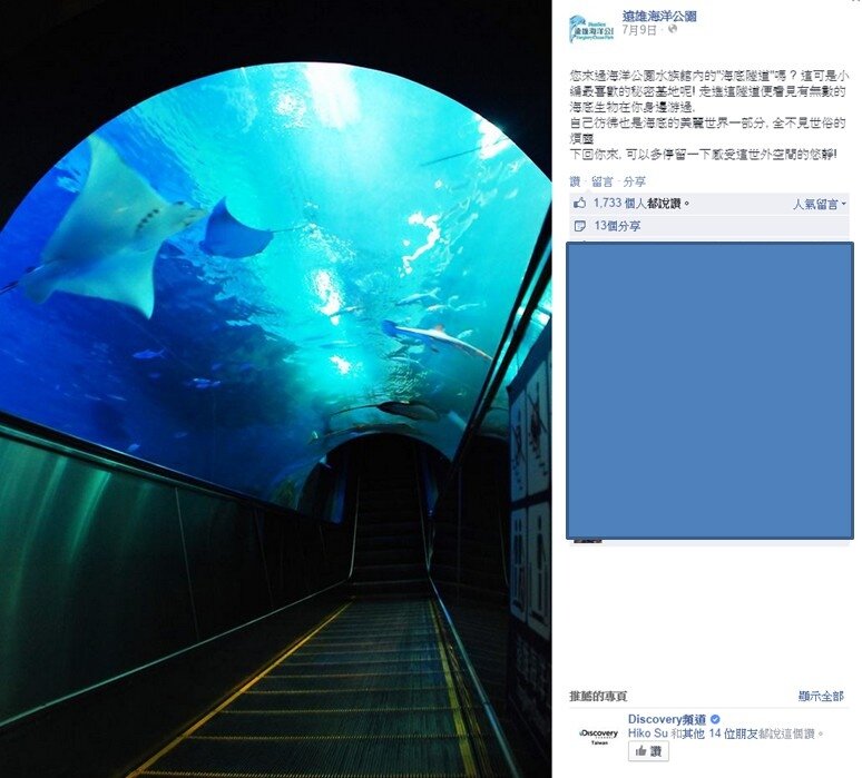 遠雄海洋公園的電梯