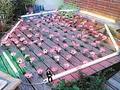 老宅裝置藝術　「像在辦喪事」