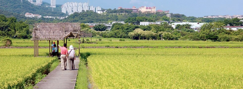 農地農田(大刊頭)