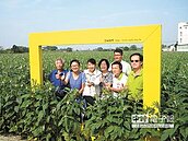 胡麻花大相框　供遊客拍照