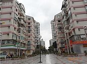大直基河國宅標售　測房市風向