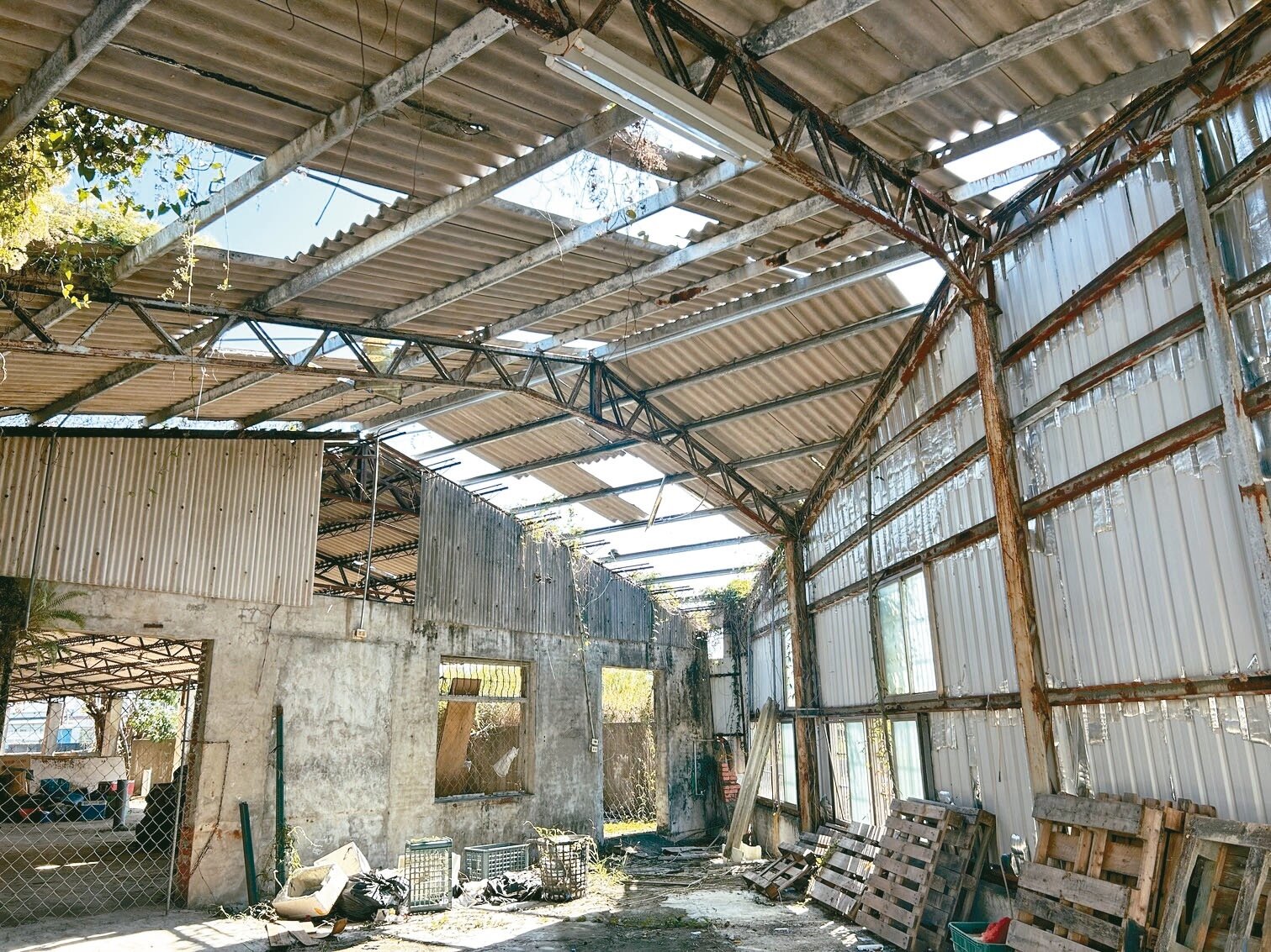 高雄市尚存3萬棟含石綿瓦建物，不少閒置建物的屋瓦殘破未整修，成為健康隱憂。記者徐白櫻／攝影 