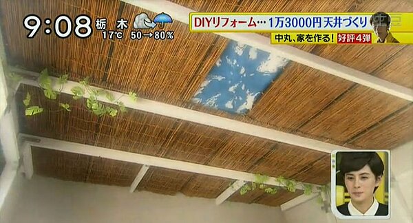 (翻攝自土豆網)