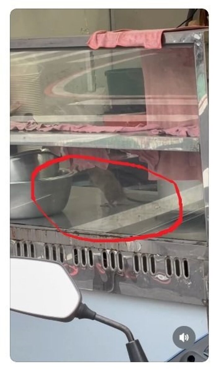 台中市學士路一家便當店被人拍到櫥櫃內竟有大隻老鼠在跑動,似在找食物。圖/翻攝自Threads,yunwu_1214